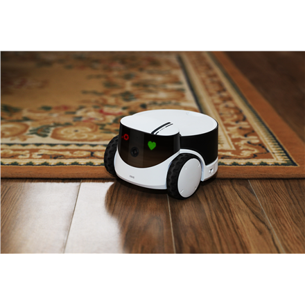 Family Robot IP Camera | ROLA PetPal | 5 MP | Micro SD