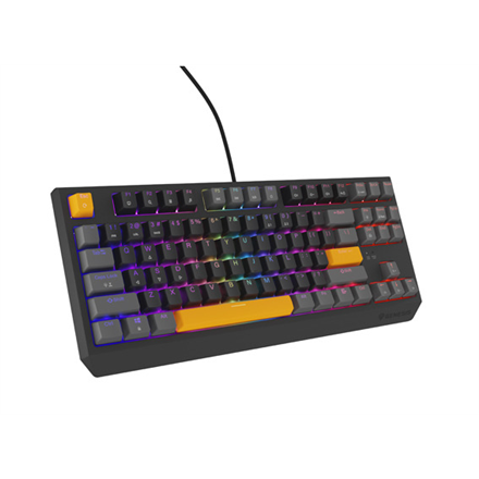 THOR 230 | Mechanical Gaming Keyboard | Wired | US | Anchor Gray Positive | USB Type-A | Outemu Red