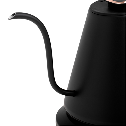 Adler Kettle | AD 1349 | Electric | 1100 W | 1 L | Stainless steel | 360° rotational base | Black/G