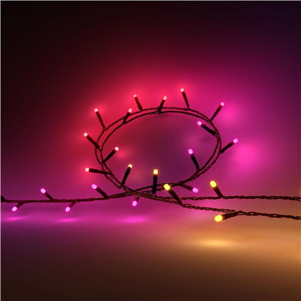 Philips Hue Festavia string lights 250 LED