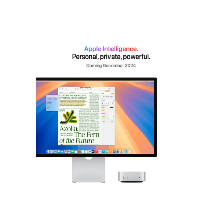 Apple Mac | Mini | Desktop | Apple M4 Pro | Internal memory 24 GB | Solid-state drive capacity 512 G