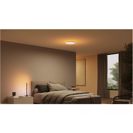 Philips Hue Datura Ceiling Light Small 38.4cm | 48 W