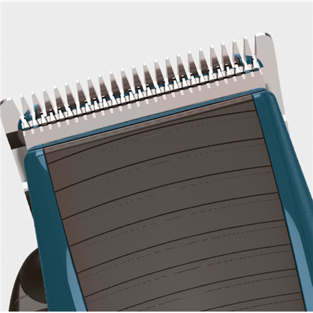 Remington HC5020 Apprentice Hair Clipper | HC5020 | Corded | Number of length steps 5 | Blue/Black