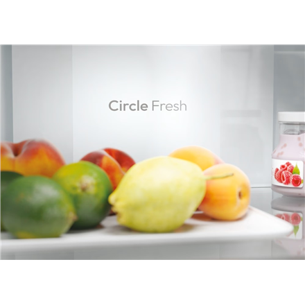 Candy ECN2CQTEB186 Refrigerator