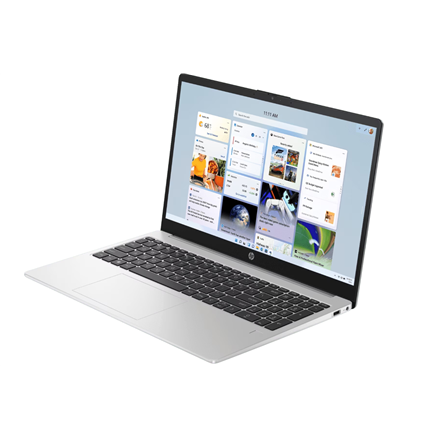 HP 255 | G10 | Silver | 15.6 " | IPS | FHD | 1920 x 1080 pixels | Anti-glare | AMD Ryzen 5 | 7530U |