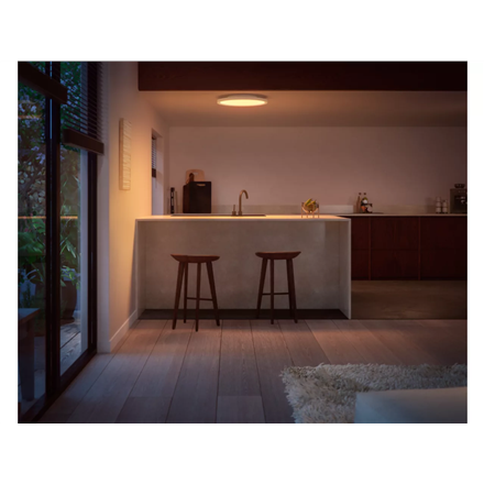 Philips Hue Surimu round panel light