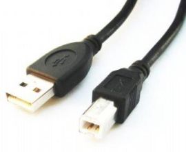 CABLE USB2 AM-BM 1.8M/CCP-USB2-AMBM-6 GEMBIRD