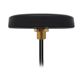 Teltonika | Combo MIMO Mobile Roof SMA Antenna | PR1KCL25 | Gain 2.5 dB | 0.698-0.960/1.710-2.690 GH
