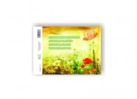 Akvarelinis sąsiuvinis SMLT, A4, 200 g, klijuotas, (10)  0708-205