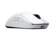 MOUSE USB PRO 2 SUPERLIGHT/WHITE 910-007302 LOGITECH