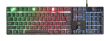 KEYBOARD USB GXT835 AZOR/ENG 23651 TRUST