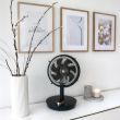 FAN TABLE CEPHEUS/COP001102 STYLIES