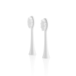 ETA Toothbrush replacement RegularClean ETA070790200 Heads
