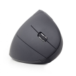 Gembird MUSW-ERGO-01 2.4GHz Wireless Optical Mouse