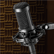 Audio Technica Cardioid Condenser Microphone AT2035 0.403 kg