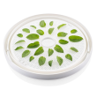 ETA Food Dehydrator Brisa ETA130290000 Power 500 W