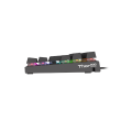Genesis THOR 300 TKL RGB Gaming keyboard