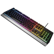 Genesis Rhod 300 RGB Gaming keyboard