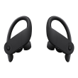 Beats Powerbeats Pro Totally Wireless Earphones In-ear