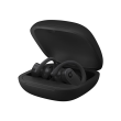 Beats Powerbeats Pro Totally Wireless Earphones In-ear