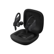 Beats Powerbeats Pro Totally Wireless Earphones In-ear