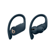 Beats Powerbeats Pro Totally Wireless Earphones In-ear