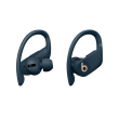 Beats Powerbeats Pro Totally Wireless Earphones In-ear