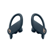 Beats Powerbeats Pro Totally Wireless Earphones In-ear