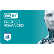 Eset Protect Advanced licence