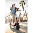 Segway Ninebot eKickscooter D38E