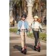 Segway Ninebot eKickscooter D38E