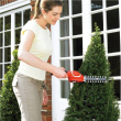 BLACK & DECKER | Hedge and grass trimmer GSL700KIT-QW