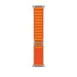 Apple  Alpine Loop - Large