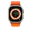 Apple  Alpine Loop - Large