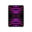 iPad Pro 11" Wi-Fi + Cellular 256GB - Space Gray 4th Gen