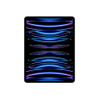 iPad Pro 12.9" Wi-Fi + Cellular 256GB - Silver 6th Gen