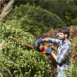 BLACK & DECKER | BEHTS301-QS | Hedge Trimmer