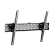 Gembird TV wall mount  WM-70T-02 37-70 "