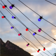 Twinkly Festoon Smart LED Lights 20 RGB (Multicolor) G45 bulbs