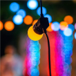 Twinkly Festoon Smart LED Lights 40 RGB (Multicolor) G45 bulbs