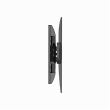 Gembird Wall mount WM-55ST-02 Tilt