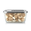 Caso Glass Vacuum Container with Plastic Lid | VacuBoxx Inox XL | Transparent