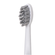 Adler | 2-in-1 Water Flossing Sonic Brush | AD 2180w | Rechargeable | For adults | Number of brush h