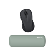 Fellowes Breyta Palm Wrist Rest Sage