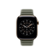 Apple 42mm Sage Gray Magnetic Link - S/M Apple