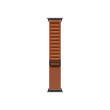 Apple 49mm Terra Cotta Alpine Loop - Small - Black Titanium Finish Apple