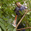 BLACK & DECKER Hedge trimmer, BEHTS501-QS, 600 W