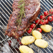 Barbecook Professional cooking grill FSC, 70 x 67 x 1 cm BC-ACC-7159