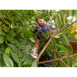 BLACK & DECKER BEHTS401-QS Hedge Trimmer, 500 W, 55 cm