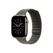 Apple 46mm Sage Gray Magnetic Link - S/M Apple